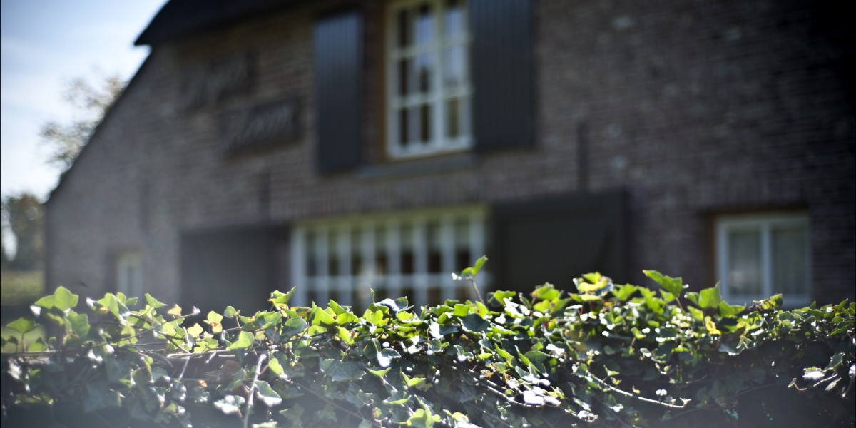 Veel vrijheid in de stal